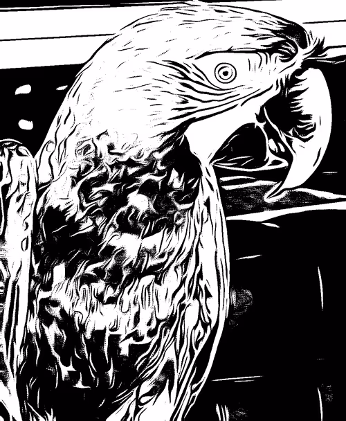 Item #56867508284360523695886647760931533624743816835046178394867123568051983745025 Media