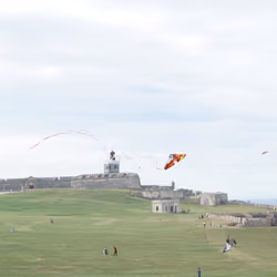 Fly A Kite