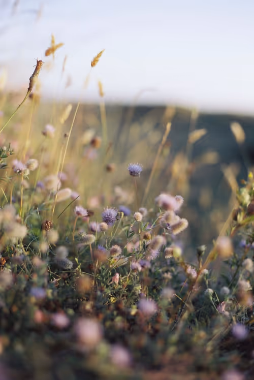 Item #60885990249262677304379181781456520543474127890329194646540695420112769908737 Media