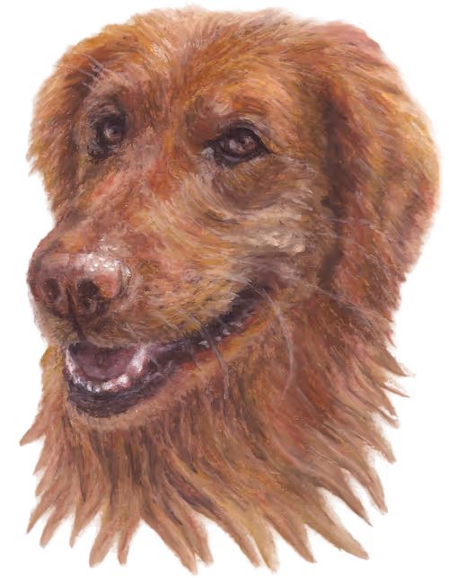 Item #16899710177743073368730371701154621525973248300674274844915861586462424170497 Media