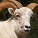 39978640062178917982851935858273740839499029584783123080966221327940488003585
