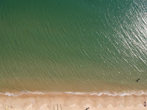 Item #80262105806551229129714372112893356952868641312806792106030804425039302098945 Media