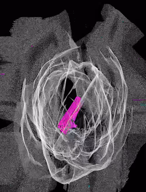 Item #2951078549844835977447175862887276393260118489151028622369903121869226115073 Media