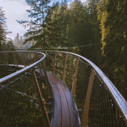 The Bridge