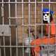 World's Dumbest Criminals