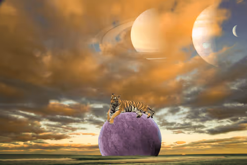 Euphorianft by Alessia Moccia: Lofty Brickell NFT program