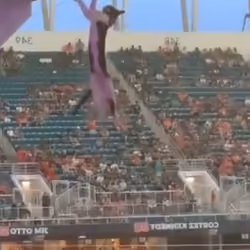 hanging cat 