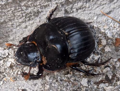 Item #47518194273065051299756248603371626593986050369570479212048397536663309385729 Media