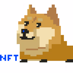 Blue Nose Doge