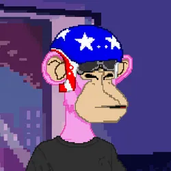 68353457077502718411049538613694890847782991066979697949798645704802892251137