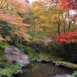 82128306357763875677992979084533453962815137074133455862851432429714461949953