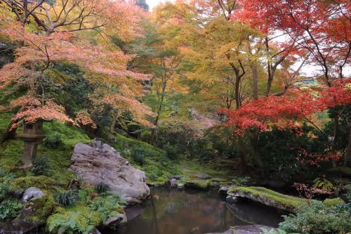 Item #82128306357763875677992979084533453962815137074133455862851432429714461949953 Media