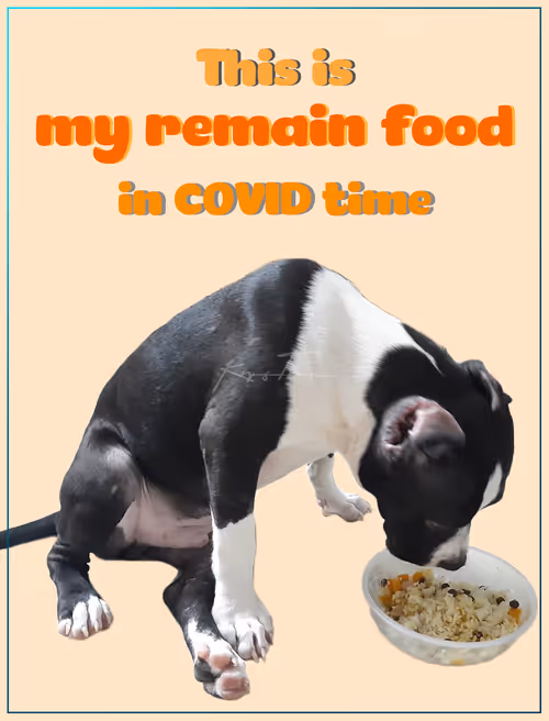 Item #103606411814514267144441239329390381368364317226309774540220525465760539082753 Media