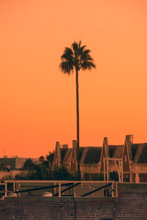 Somewhere Else: 074 - Neighborhood All-Star 