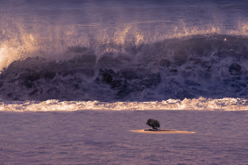 Item #94302163411569095589289123968041002973019814470584416299482263140617915727873 Media