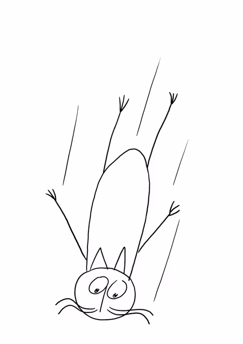 Item #4709308869305090171155806753910009420679828791696898131302201522985187147899 Media