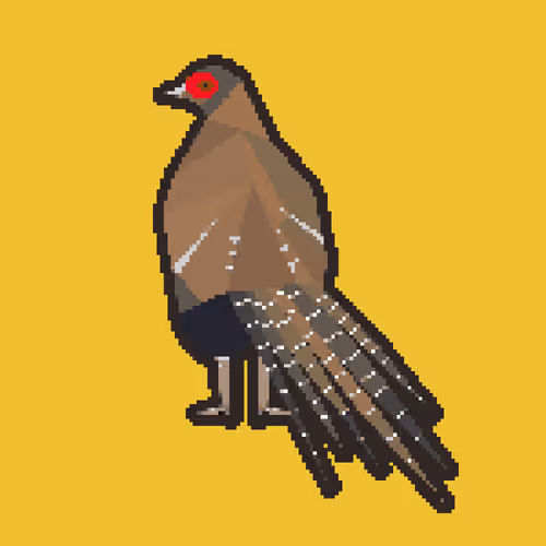 Item #86194167625249011318924964343522794486145056108034875163494610377349403770881 Media