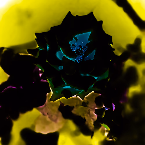 rosary 001