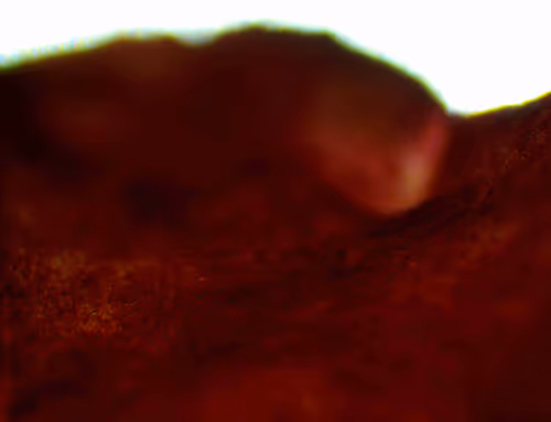 Item #71646257518770613568983710813551014237803002136866425209291833753615191769089 Media