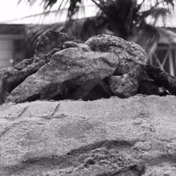 by rocks 