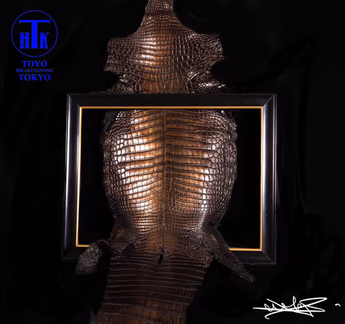 Item #65718052376404825530132698476454308049276015836189851915939897249427940704257 Media