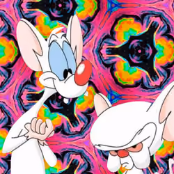 Pinky&Cerebro OG card