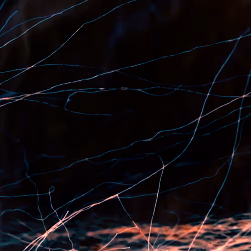 Item #70662443782525108804449522179445584276915167986744255556257964790939008368641 Media