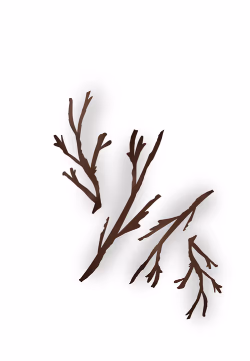 Item #84095843279643989357089024802437267244550491417541544316462293901367016685569 Media