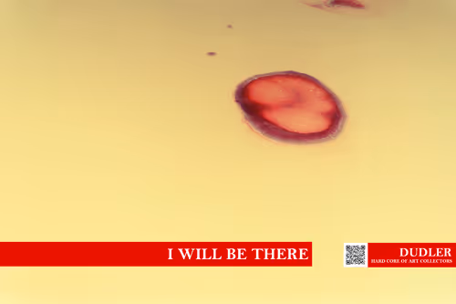 Item #18580735972203588279053579333328689979786797976926619592759457958749496410113 Media