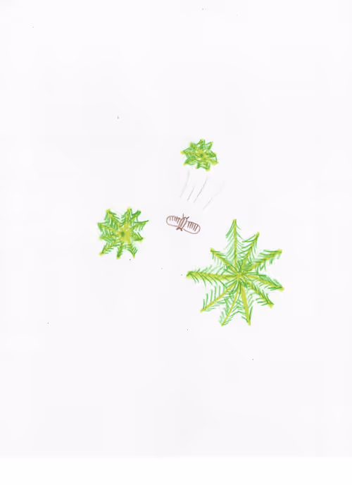 Item #23218060550821745609800623272602319113326301581644647180881602204226342092801 Media