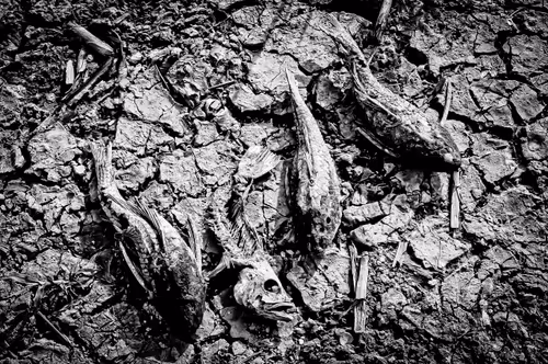 Item #85988873436374228871074678690763106864667139915174852113461059864568570839041 Media