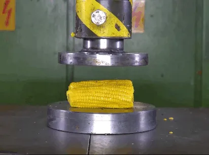 Item #51845589138248531294593418479039735952453489235461489114075287960135760084993 Media