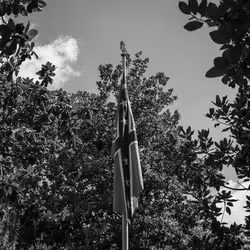 10691109686083431502166818963425883962656955232587770388242978818546152243201