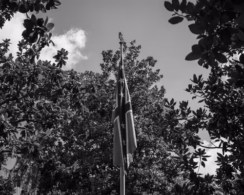 Item #10691109686083431502166818963425883962656955232587770388242978818546152243201 Media