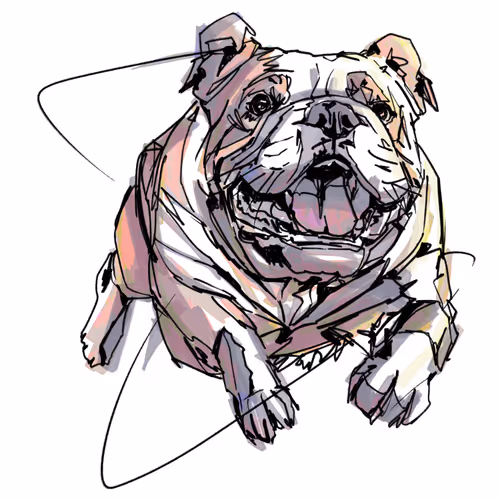 Item #73400403877540553502223880377047479438719384571506436692256300108354355724289 Media