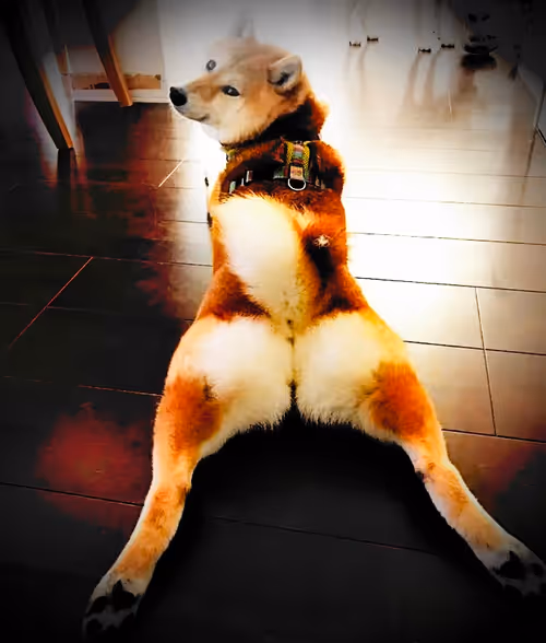 Item #24962049103808436267875211399801441386663686098738588502662133591897471451137 Media