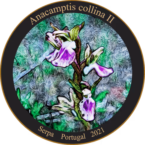 Item #83346383481971607988729477170446348570292642791419063456680174175890645712897 Media