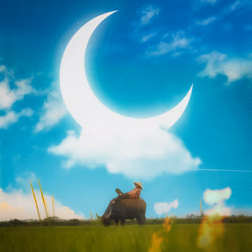 ILLANN Collection - old