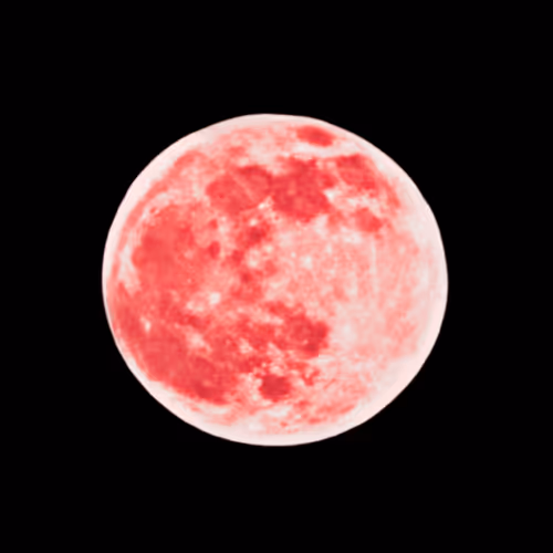 101983409700396166080613188018216707096235636634703201961680544332488466497537