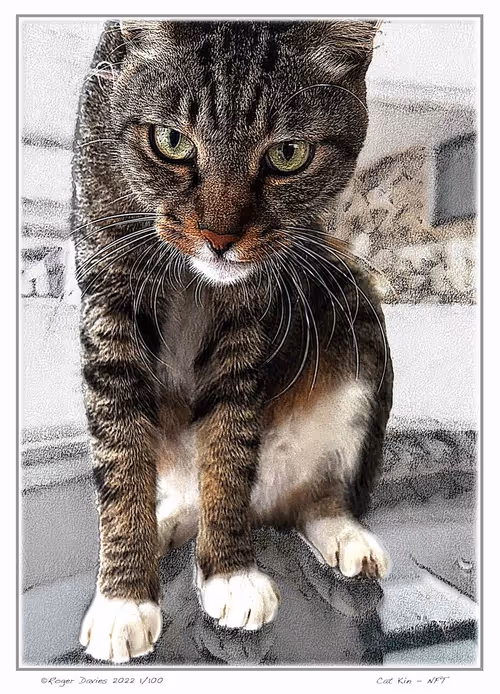 Item #113829610119937179277145653237989536661159515398728099625049874678756776345601 Media