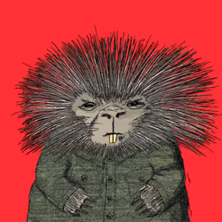 62613911586056240347546851974550079964524534582261086920828948530816023003137