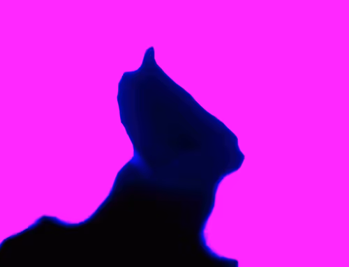 Item #71646257518770613568983710813551014237803002136866425209291833719530331308033 Media