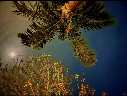 Item #99336931045118591179229277563364267631006438606699611254274404941816265703425 Media