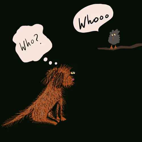 Item #8190719571610145789568542506567364700647027859008357845740195023421607772161 Media