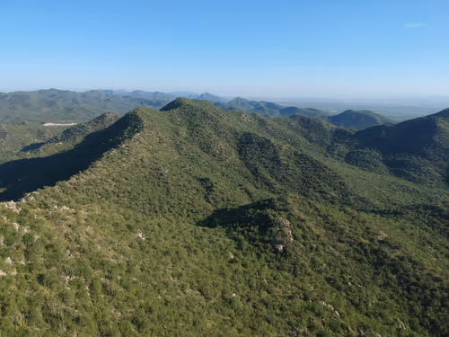 Item #80262105806551229129714372112893356952868641312806792106030804414044185821185 Media