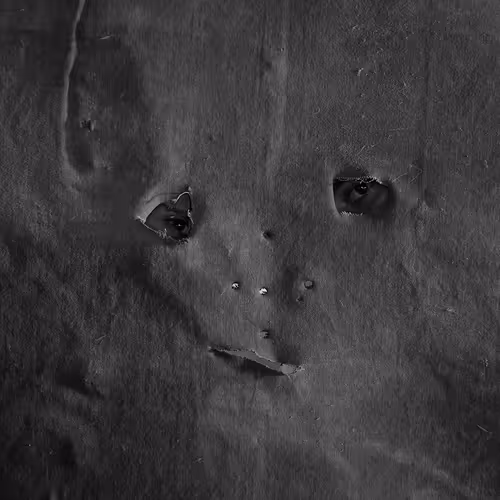 55742877103331326986901634966234534584522016098886767388688053911923774717953