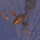 79620119840716000884808927066555804624992465371734950925364186344677424758785