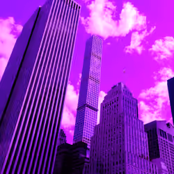PURPLE New York State of Mind 6/8