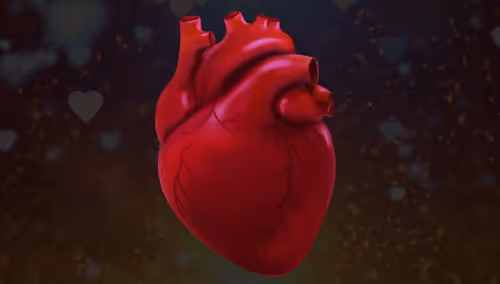 Item #97313784443921890092594032014113546778192632904741298882669336688050906857473 Media