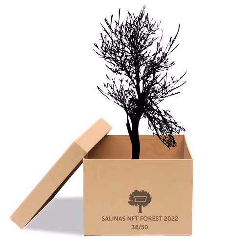 Item #63532776318757439562276927313719991273687356279339277108967620962929721999361 Media